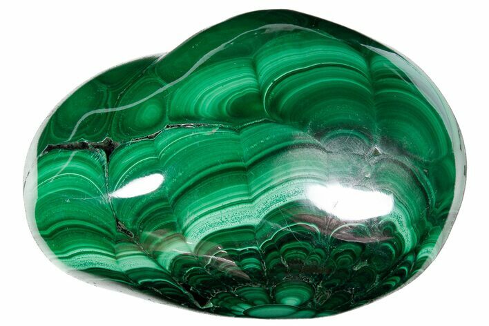 Flowery Polished Malachite Specimen - DR Congo #360802